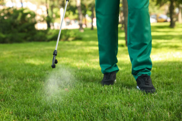 Pest Control Cost in Drexel, OH