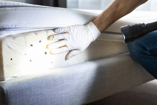 Professional Pest Control in Drexel, OH