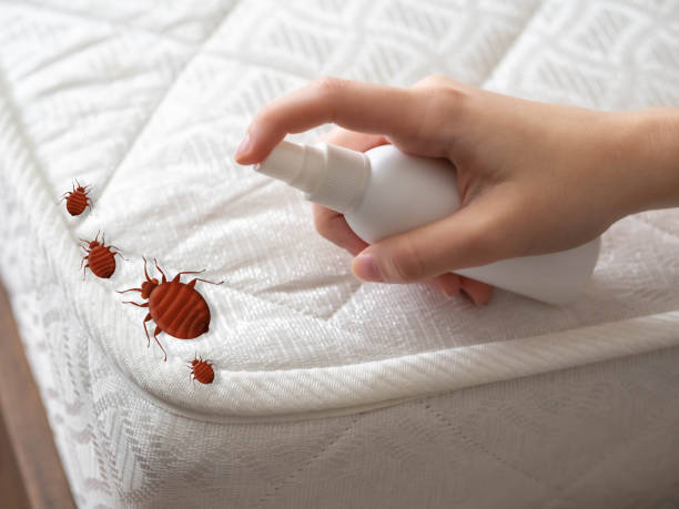 Best Emergency Pest Control  in Drexel, OH