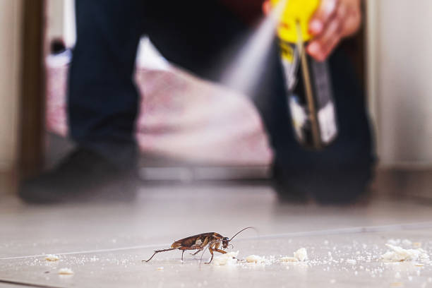 Best Pest Inspection Near Me  in Drexel, OH