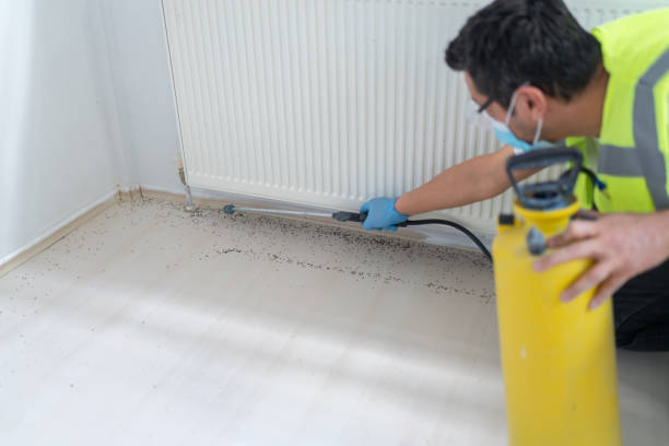 Best Affordable Pest Control Services  in Drexel, OH