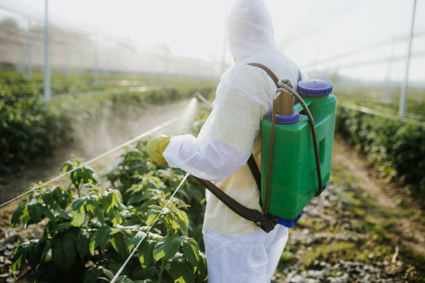 Best Cockroach Control Services  in Drexel, OH